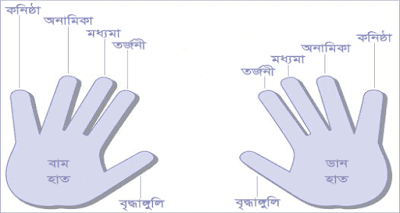 বিজয় কিবোর্ড দিয়ে কিভাবে টাইপ করা শিখবেন?