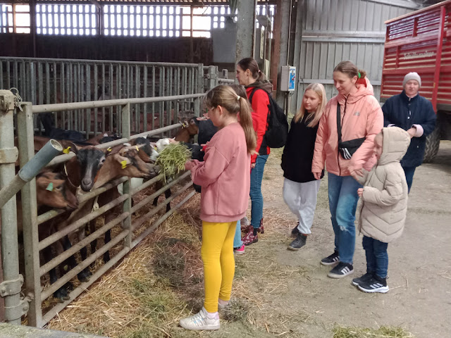 Ukrainian refugees visiting a farm, Indre et Loire, France. Photo Loire Valley Time Travel.