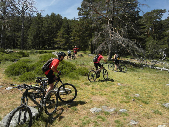 Ruta en bici de Cercedilla a Segovia, junio 2012