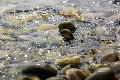 water in a stream with stones sticking out