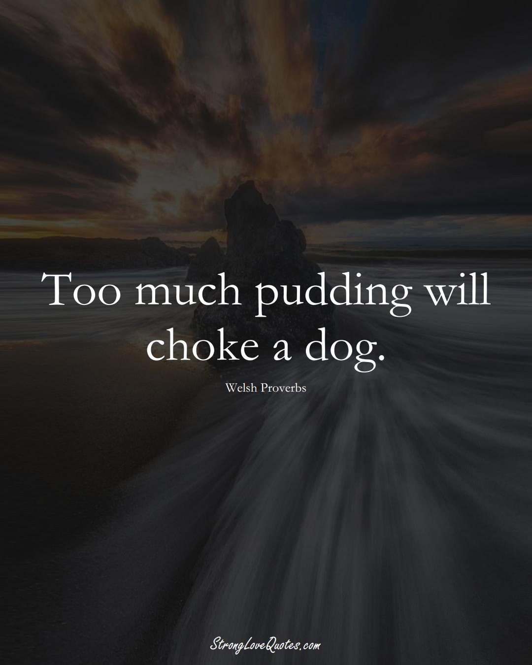 Too much pudding will choke a dog. (Welsh Sayings);  #EuropeanSayings