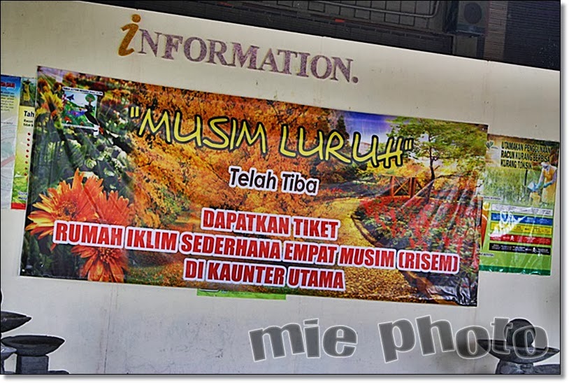 Musim Luruh Di Taman Botani Shah Alam  mie