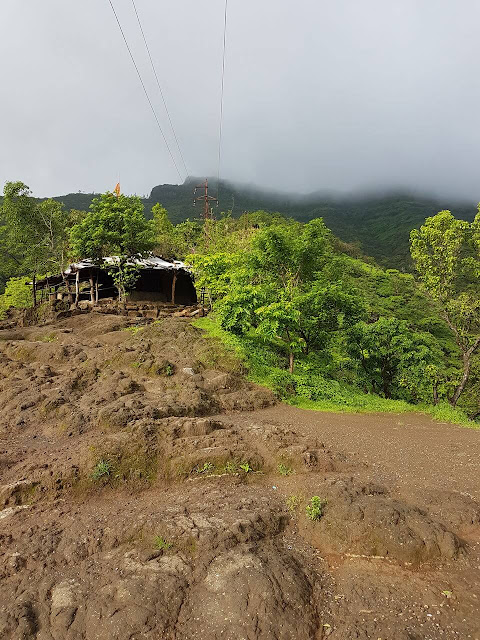 Food Stalls on Sinhagad Fort