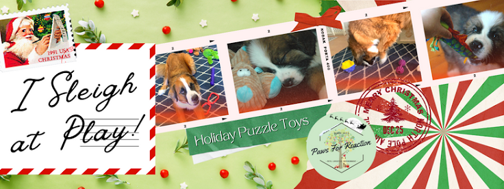 Petco Holiday puzzle dog toys treat balls