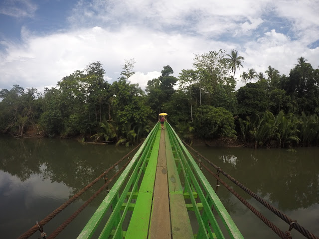 Bridge going to Dahoyhoy Falls