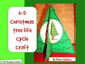 life cycle of a Christmas tree