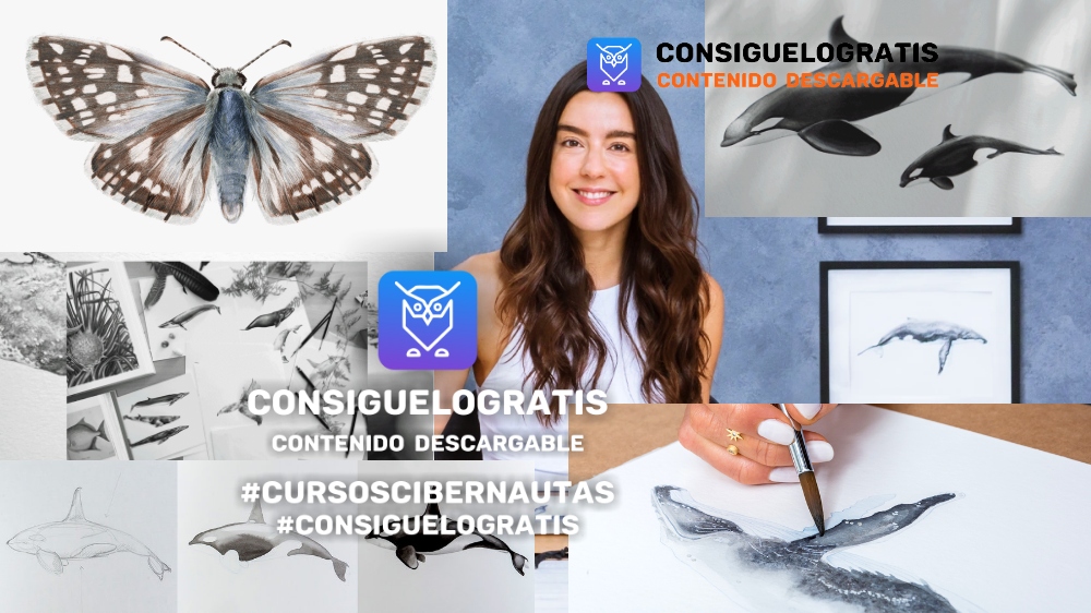 Consiguelogratis.com - Descarga gratis / Consiguelogratis descargar cursos gratis #consiguelogratis libros consiguelogratis multimedia consiguelogratis