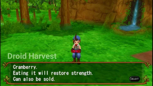 How to Get Fruits in Harvest Moon: Hero of Leaf Valley