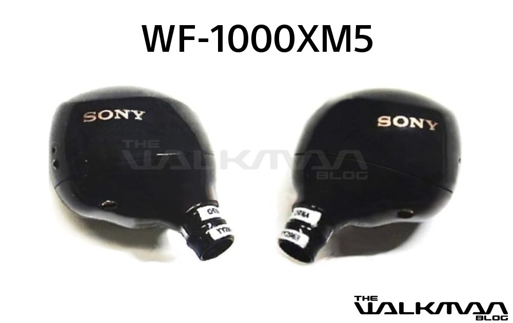 Sony WF-1000XM5, Lanzamiento, Precio, Ficha técnica, Características, Full specs, nnda, nnni, DATA