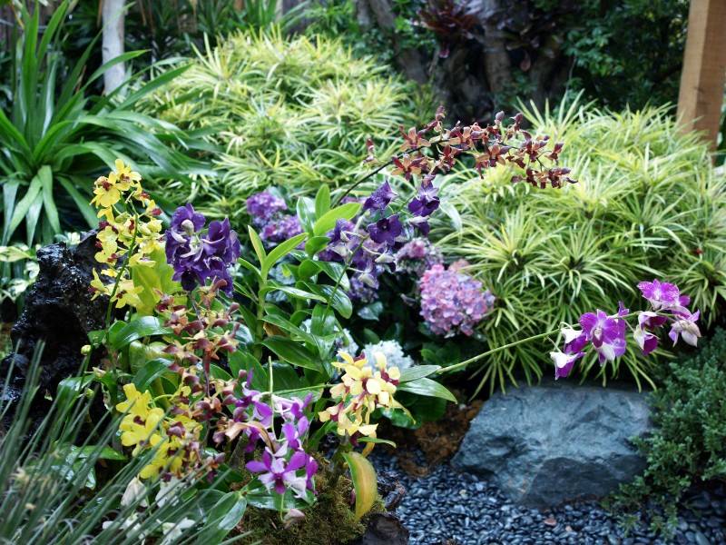 types of flowers for gardens Home Garden Flowers | 800 x 600