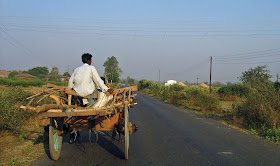 man on bullock cart