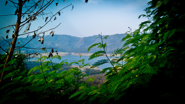 Mobile-Giri from a bus near Govind-Sagar Lake @ Lathiani, Una, Himachal Pradesh !!! :  Posted by VJ SHARMA on www.travellingcamera.com : The reservoir on the river Sutlej which was formed after the hydel dam at Bhakra was constructed and has been named in honour of Guru Gobind Singh, the 10th Sikh guru. Gobind Sagar Lake is spread over different parts of Bilaspur and Una districts of Himachal Pradesh...This time I was going to Ludhiana in a bus and thought of clicking some photographs of Gobin Sagar Lake with my new HTC Dezire HD. Gobin Sagar Lake comes on the way when we move towards Una/Chandigarh from Hamirpur... Also it comes on the way when we move to Chandigarh from Hamirpur/Mandi/Kullu/Manali via Bilaspur. So I always see this lake whenever I go my Home from Delhi :)Water level this time was very low... I have seen this lake many times in summers, but this time it was rarely visible due to very low water level.There is very clear view of Gobind Sagar Lake, when we cross a small town called Barsar. Aftr crossing Barsar, we climb up a hill and then a downhill starts till Lathiani. This is the stretch when lake is visible...In the months of October and November water level of the reservoir goes high and a series of regattas are also organised by the Tourism and Civil Aviation department... Water-skiing, sailing, kayaking and water scooter racing are popular water sports activities during this period.Major attractions of the lake include ferry rides and water sports like speedboating.Two years back, roads near this lake were very risky and narrow. This time I was really happy to see smooth and wide roads...Gobind Sagar was declared as a water fowl refuge in 1962. Fishing is commonly practiced here. It has about fifty one species and sub species. Labeo dero, Tor pitutrata, Mystus seenghala and Mirror carp are some of the common species found here.During summers some part of the lake is completely dry and look like Sholey's location where Gabbar used to stay with his gang !! Rocks and sand without any tree or grass !!! I rarely find time to plan one day trip to this place during summers. Hope to go their soon ! Many punjabi movies are shot near this lake...In Bilaspur, many temples can be seen at the ground level during summers. These temples belongs to the times of king of Bilaspur and  after monsoons they get covered by water !!!