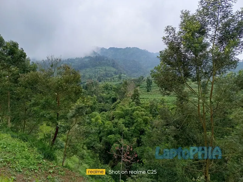 Hasil Foto Kamera Realme C25