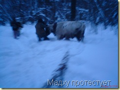 Ситуация стала напряженной...