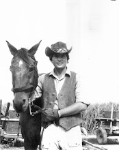 Sugar Cane Horseback Riding in Trinidad