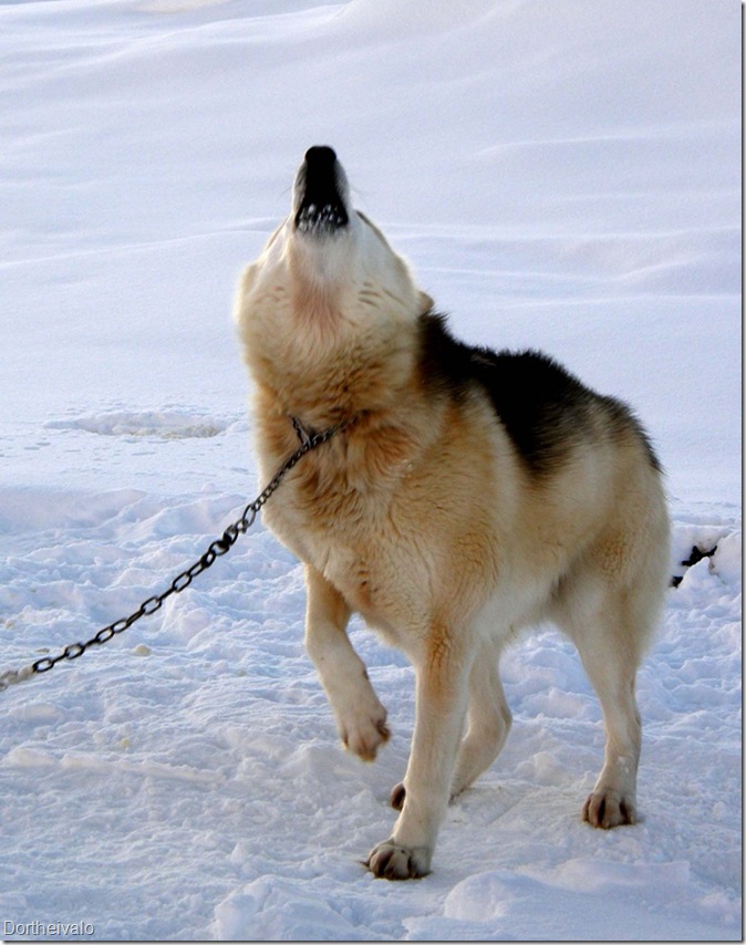 velkomsthilsen
