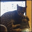 Pi_-16_thumb2
