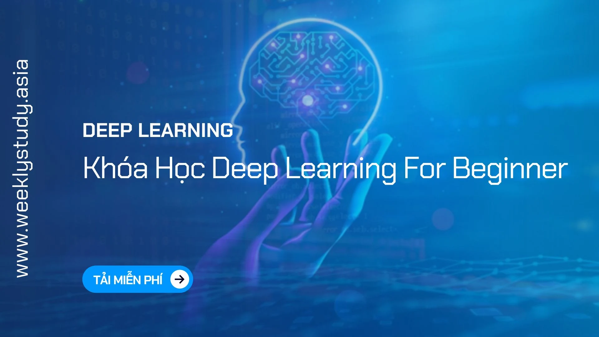 weekly-study-khoa-hoc-deep-learning-for-beginner-ma-9413v