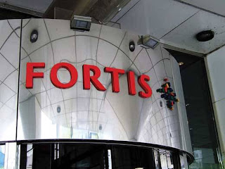 teb fortis birleşmesi