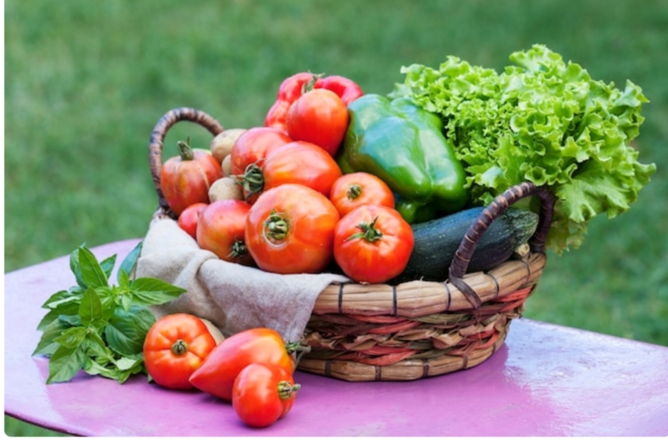 How to Make Tomato  curry leaf  Sauce