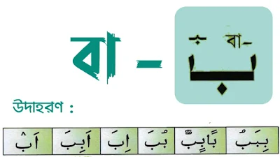 বা অক্ষর পরিচয়, বা এর পরিচয়,বা ,ba Arabic letter