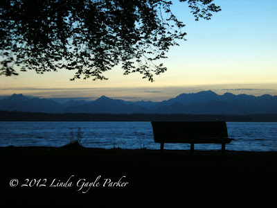 Motion Study Series, Linda Gayle Parker, Dusk at Golden Gardens Park, Long Exposures: devoid of people, bench, water, tree, mountains in background.