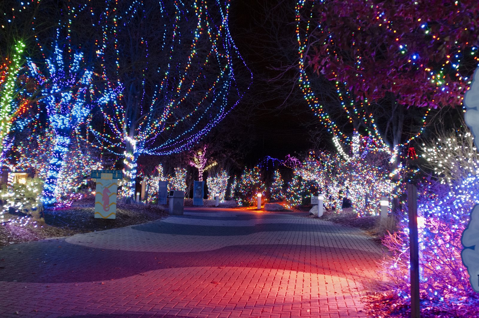 at 7:04 AM Labels: Columbus Zoo and Aquarium , Wildlights