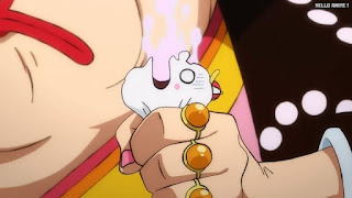 ワンピースアニメ 1034話 ゼウス かわいそう ZEUS | ONE PIECE Episode 1034