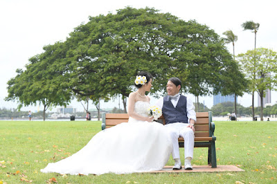 Honolulu Park Bench