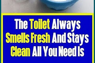 The Toilet Always Smells Fresh and Stays Clean. All you need is…