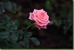 clip_image065