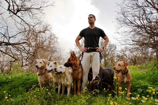 http://www.doglistenerconsult.com/puppy-house-biting-training-classes/