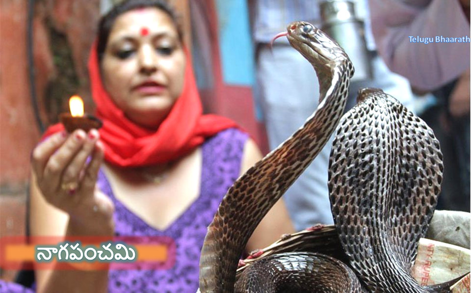 నాగపంచమి - Naagapanchami