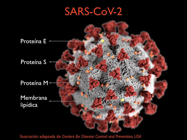 SARS-CoV-2