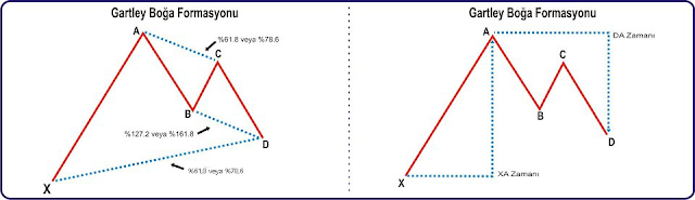 FİBONACCİ FORMASYONLARI