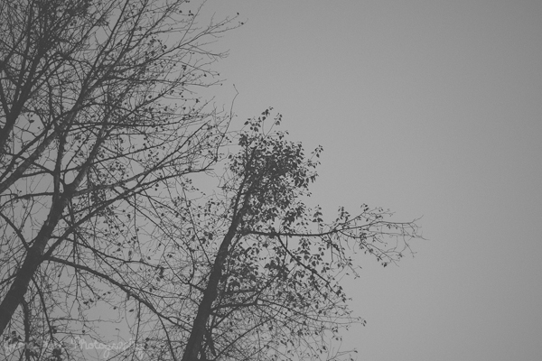 Fall 4