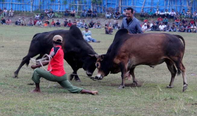12 Permainan Tradisional Nanggroe Aceh Darussalam yang Masih Dimainkan Hingga Kini