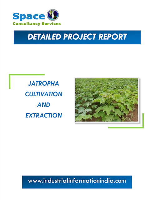 Jatropha Cultivation and Extraction Project Report