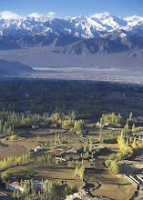 view from Leh