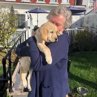 A woman stands in her backyard with her back to her house and snuggles a yellow Labrador retriever puppy.