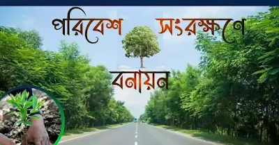 বাংলাদেশে পরিবেশ সংরক্ষণে বনায়ন | poribesh songrokkhon bonayon rochona