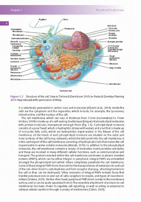 Fundamentals of Children's Applied Pathophysiology: An Essential Guide for Nursing and Healthcare Students