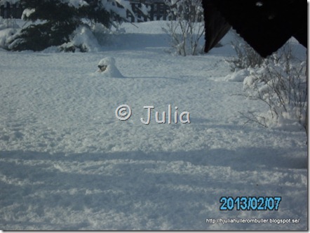 PICT1026