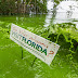 Blunders by the Toxic Trio: Rick Scott, Adam Putnam, and Matt Caldwell created this Florida water crisis ... by gimleteye
