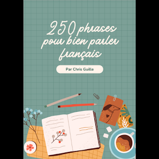250 phrases pour bien parler français