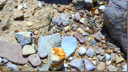 Crystal trail_102