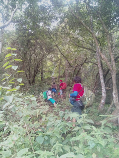 Pendakian Gunung Ringgit 1250 Mdpl Situbondo