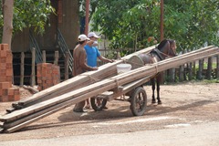 P1000478