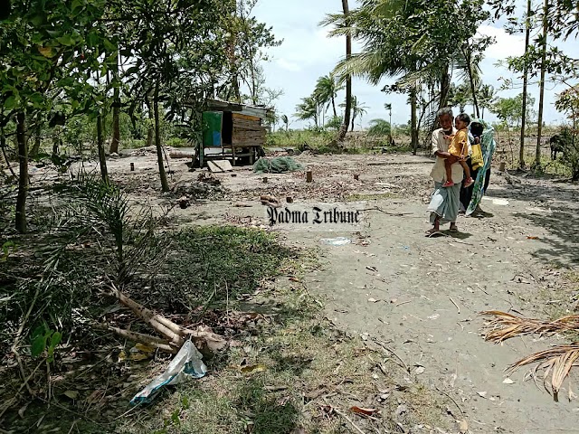 নদী আবারো ভিটেমাটি গিলে ফেলল বাবার সারা জীবনের সম্পদ