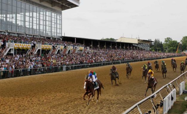 Shackleford, center foreground, ridden by Jesus Castanon, moves to the finish line to win the 36th Preakness Stakes horse race at Pimlico Race Course, Saturday, May 21, 2011, in Baltimore. Animal Kingdom, ridden by John Velazquez, follows and Astrology, right, competes